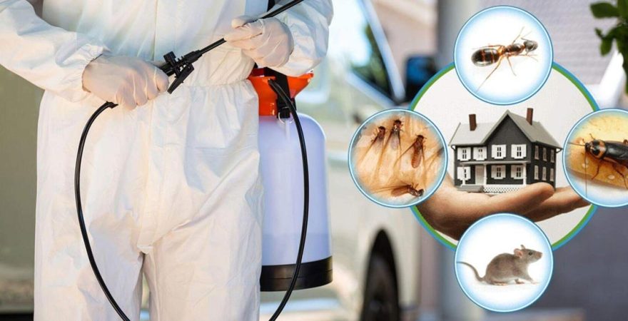 Bala Böcek İlaçlama