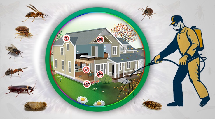 Bala Böcek İlaçlama