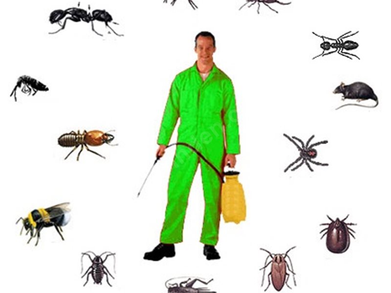 Bala Böcek İlaçlama